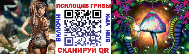 Псилоцибиновые грибы Cubensis  Яранск 